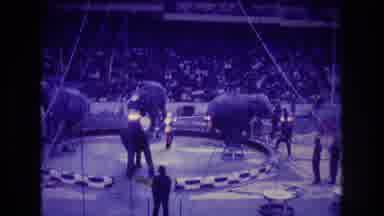 Boston USA (1974): Elephants At The Circus