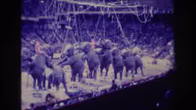 Boston USA (1974): Circus Elephants Form Line Acrobat Flips To Land On Elephant