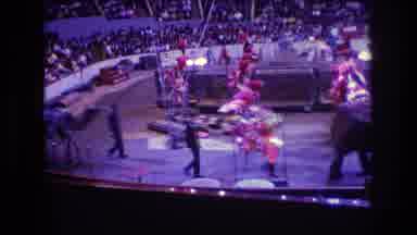 Boston USA (1974): At The Circus Camels And Elephants Parade With Their Circus