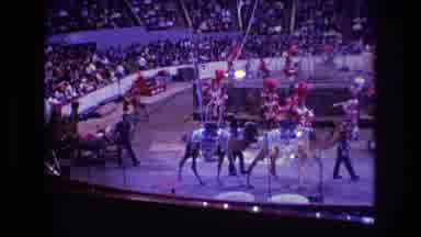 Boston USA (1974): Circus Performers Parading Into Arena For Circus Show