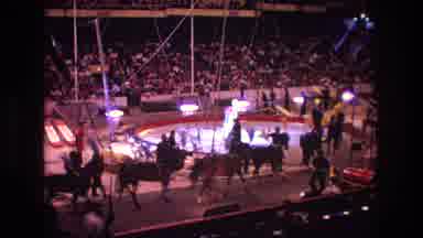 Boston USA (1974): The Day The Big Circus Came To Laurel Mississippi In 1965