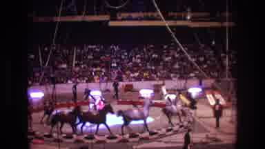 Boston USA (1974): FIlmed Live, At The Circus, Horses Perform In Small