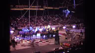 Boston USA (1974): Dancing Horses Circus Act Goes Wrong At Center Ring Of The Big