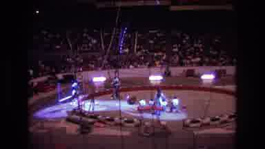 Boston USA (1974): Circus Scene Where A Bear Walks On A Ball Towards His Trainer