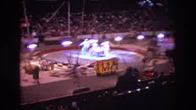 Boston USA (1974): Watching Circus Performance From Stands In Big Arena