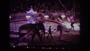 Boston USA (1974): Elephant And Circus People Walking Around In A Circle