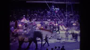 Boston USA (1974): Circus Performers Riding Elephants Circle An Arena As An