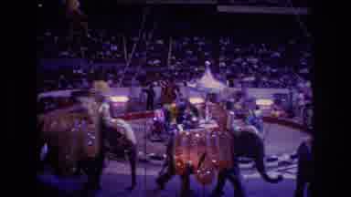 Boston USA (1974): Elephants Are Arriving On The Stage To Perform Show In The