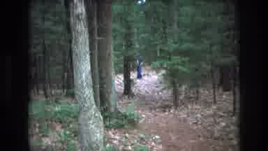 Baxter Maine USA (1975): Brown Dirt Path In A Forest And In The Distance A Person