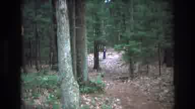 Baxter Maine USA (1975): Person Running Around In A Forest