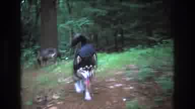 Baxter Maine USA (1975): Friendly Dog Coming Towards The Camera While Another Dog