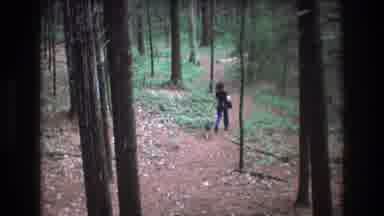 Baxter Maine USA (1975): Woman Walking Down Trail With Dog