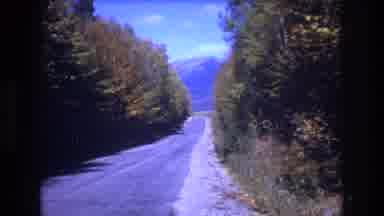 Baxter Maine USA (1975): Tall Trees Line A Road In Fall With Orange Leaves