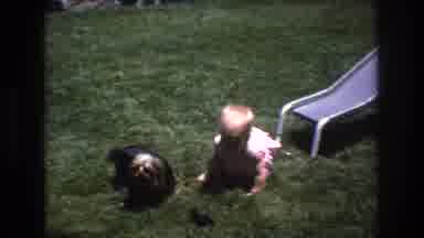 Mt Bromley Vermont USA (1976): Baby And Dog Playing Yard Near Slide On Sunny Day