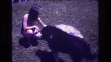 Mt Bromley Vermont USA (1976): Family Time With Dogs