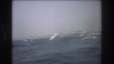 New York City USA (1976): New York,USA,June 16 1976,Coast Guard With More Than 4