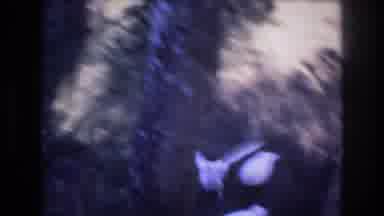 Honolulu Hawaii a USA (1977): A Group Of Pigeons Chase Each Other Around A Small