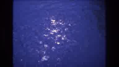 Honolulu Hawaii a USA (1977): Throwing Food To Fish In The Water And Then Giving