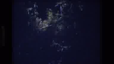 Honolulu Hawaii a USA (1977): Strong Wind Hitting The Trees At Daytime And A Blue