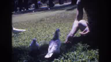 Honolulu Hawaii a USA (1977): Person Feeding Pigeons