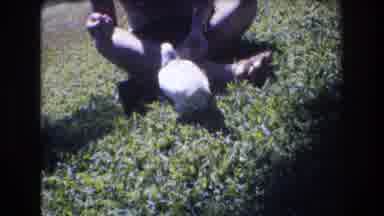 Honolulu Hawaii a USA (1977): A Girl Sits At A Park Offering Bread To A Bird On A