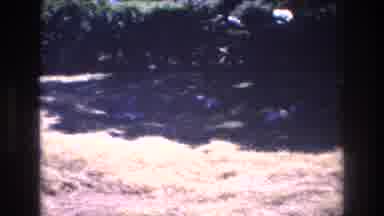 Honolulu Hawaii a USA (1977): Scanning Nature At A Glimpse