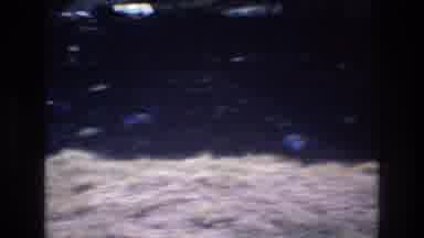 Honolulu Hawaii a USA (1977): Dead Grass Area With A Fence And Palm Trees With