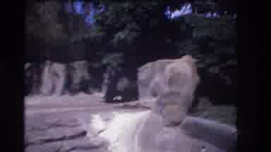 Honolulu Hawaii a USA (1977): Rocks And Green Bushes And Trees In A City With
