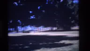 Honolulu Hawaii a USA (1977): Shaky Handheld Camera Footage Of A Park, With Green