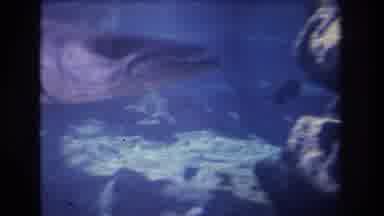 Honolulu Oahu Hawaii USA (1977): Several Species Of Fishes Swimming Inside An