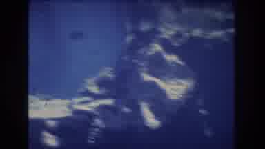 Honolulu Oahu Hawaii USA (1977): Aquarium Fish And Coral, Small Fish, Large Fish,