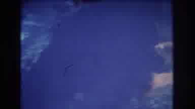 Honolulu Oahu Hawaii USA (1977): Under The Water Colorful Fish Swim In Pairs