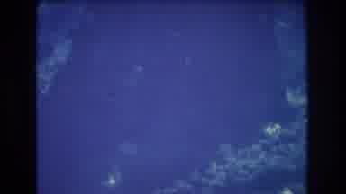 Honolulu Oahu Hawaii USA (1977): Diver Films Fish Underwater While Leaving His