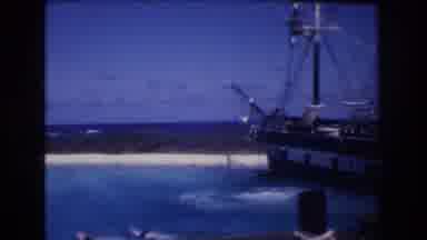 Honolulu Oahu Hawaii USA (1977): Plunge In The Sea Two Dolphins Swim Near A Beach