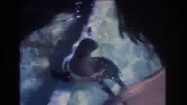 Honolulu Oahu Hawaii USA (1977): Fish Swimming In River Looking At Someone Trying