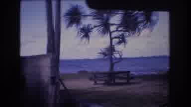 Honolulu Oahu Hawaii USA (1977): Dumpster By A Beach With A Picnic Table