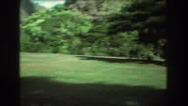 Honolulu Oahu Hawaii USA (1977): Peacock Walking Around Outdoors