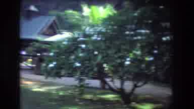 Honolulu Oahu Hawaii USA (1977): Garden View With People