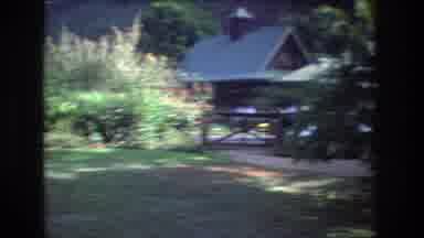 Honolulu Oahu Hawaii USA (1977): Two Birds Are Seen Standing In A Beautiful Green