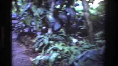 Honolulu Oahu Hawaii USA (1977): Enjoying Spending Time Outdoors On Nature Trail