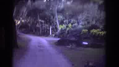 Honolulu Oahu Hawaii USA (1977): A Small Pathway Is Seen Winding Through A