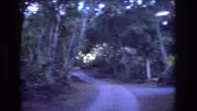Honolulu Oahu Hawaii USA (1977): Walking Down Roadway With Abundant Nature,