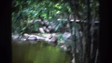 Honolulu Oahu Hawaii USA (1977): Walk Around A Pond