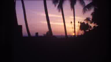 Honolulu Oahu Hawaii USA (1977): View That Includes Aged Palm Trees And A Sunset
