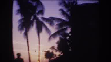 Honolulu Oahu Hawaii USA (1977): Sunset Shot Of People Walking Near Palm Trees And