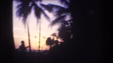 Honolulu Oahu Hawaii USA (1977): Palm Trees On The Seashore