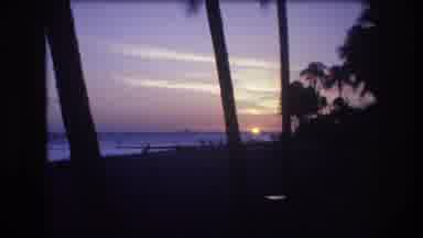 Honolulu Oahu Hawaii USA (1977): A Beautiful Tropical Beach Busy With People