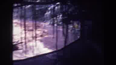 Honolulu Oahu Hawaii USA (1977): Panning View Of Plants And Wildlife With Vines