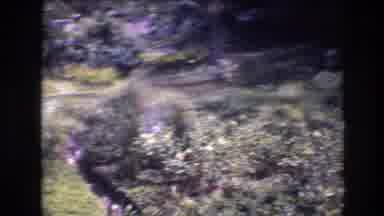 Honolulu Oahu Hawaii USA (1977): Shaky Camera Gliding Over A View Of A Busy And