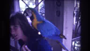 Honolulu Oahu Hawaii USA (1977): A Nice Lady Visiting The Zoo And With A Blue